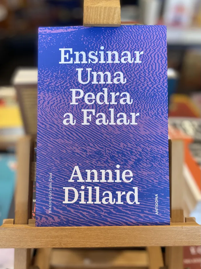 ENSINAR UMA PEDRA A FALAR