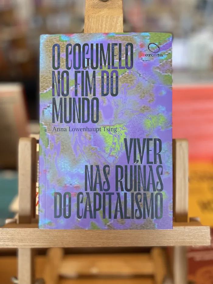 COGUMELO NO FIM DO MUNDO, O
