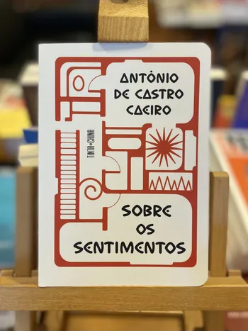 SOBRE OS SENTIMENTOS